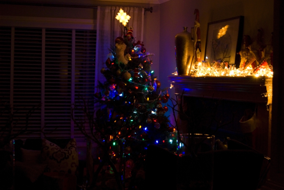 DSC 07960021