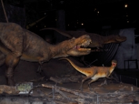 DSC 0150  The dinosaurs : keeper