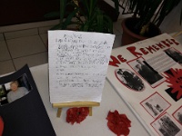 Noah's Rememberance Day