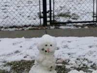 IMG 20151103 172217  Abbey's early season snowman