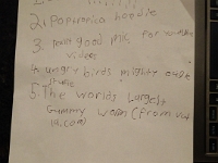 IMG 20151129 211930  Noah's list